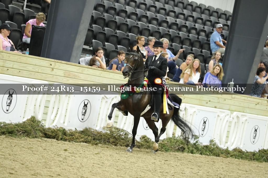 Proof 24R13_15159