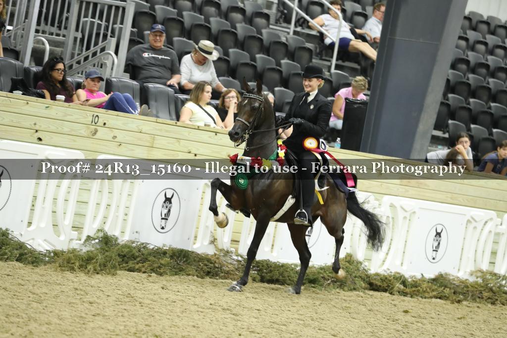 Proof 24R13_15160
