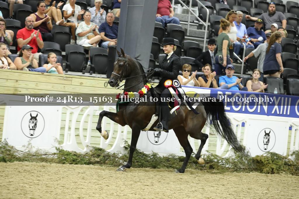 Proof 24R13_15163
