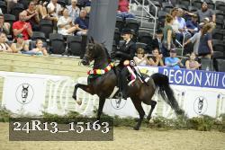 24R13_15163 proof
