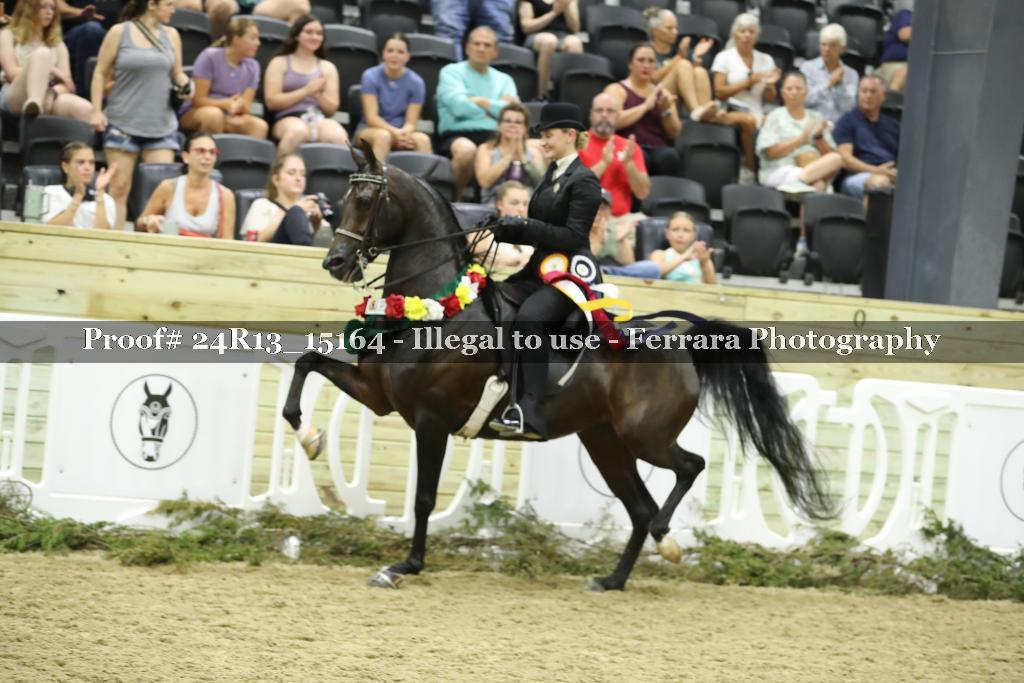 Proof 24R13_15164