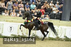 24R13_15164 proof