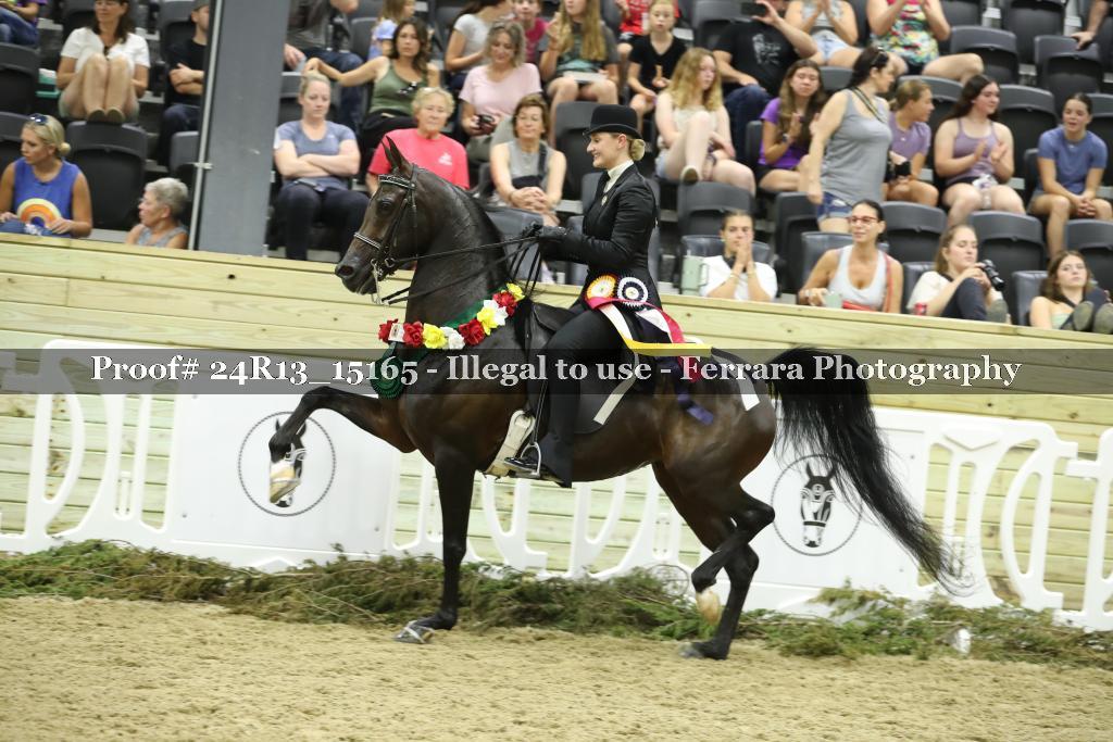 Proof 24R13_15165