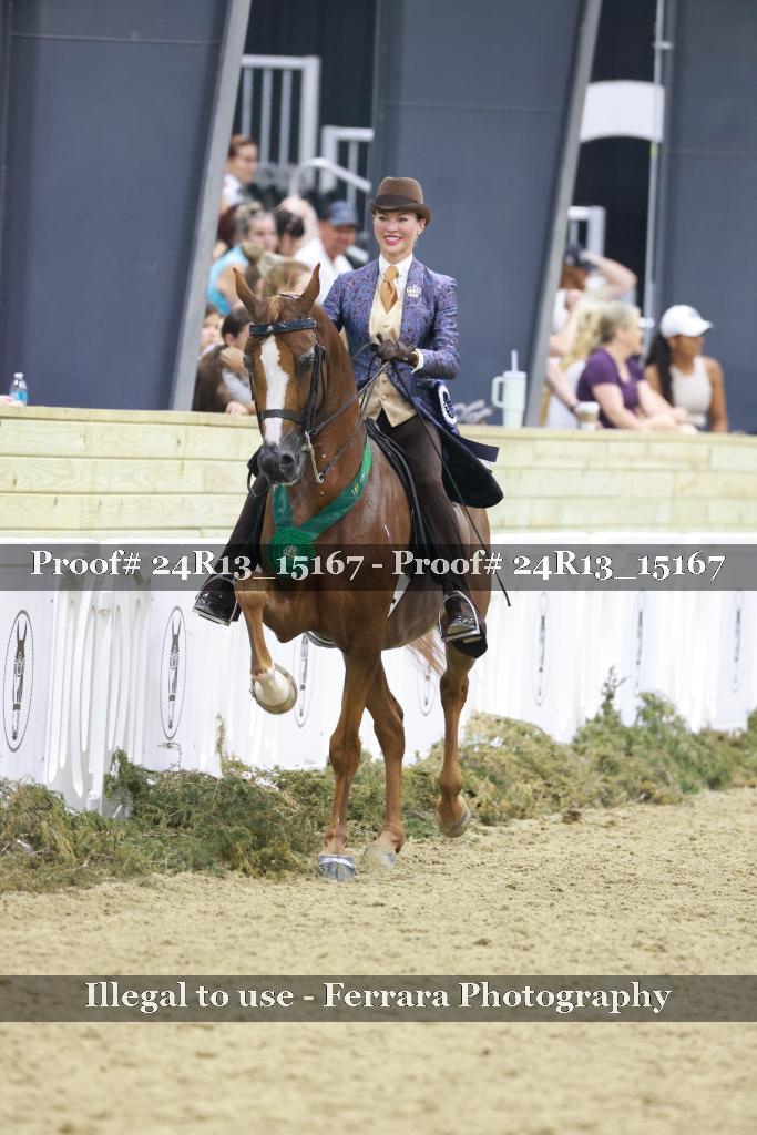Proof 24R13_15167