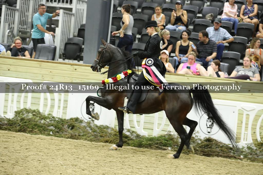 Proof 24R13_15169