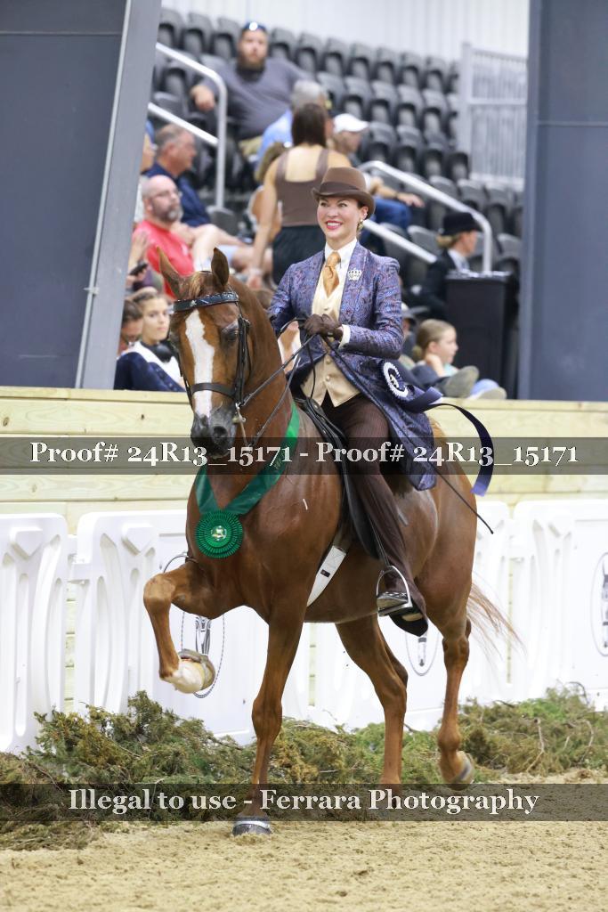 Proof 24R13_15171