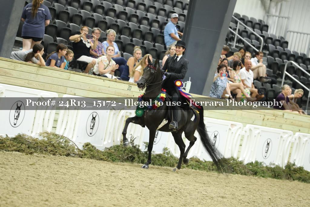 Proof 24R13_15172
