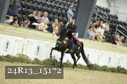 24R13_15172 proof
