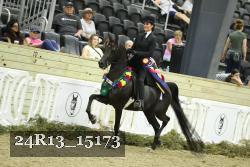 24R13_15173 proof