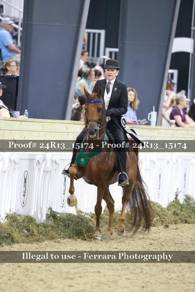 Proof 24R13_15174