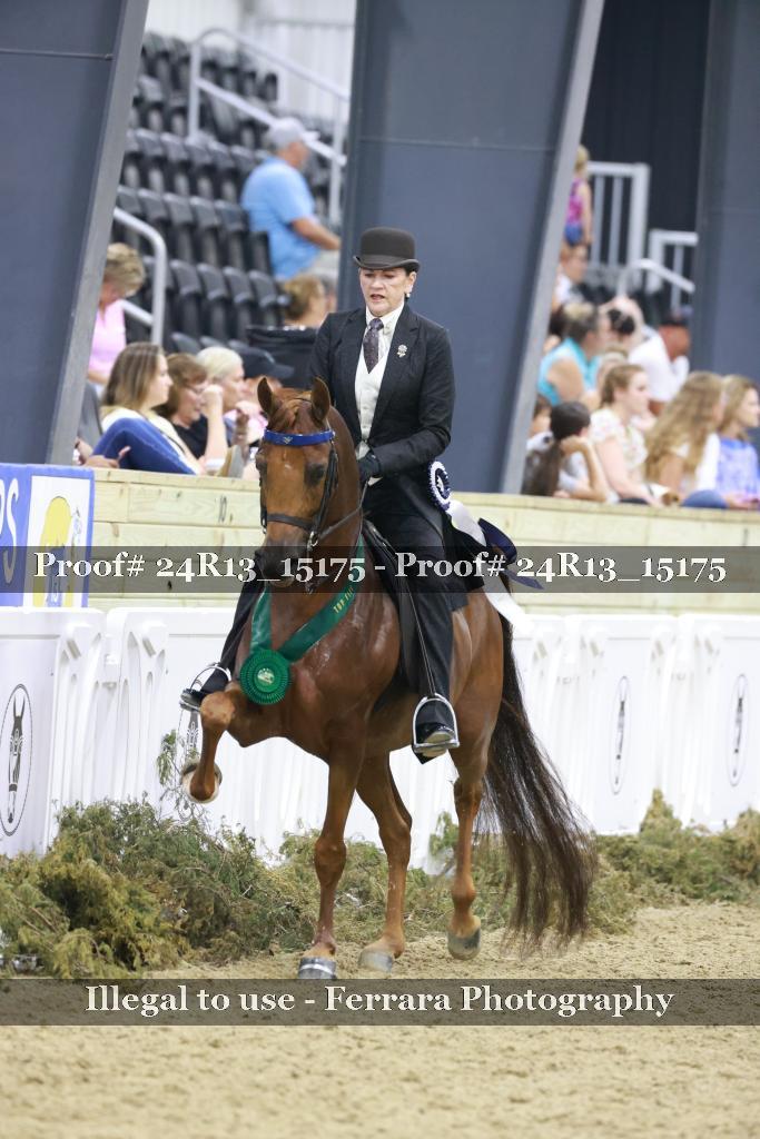 Proof 24R13_15175