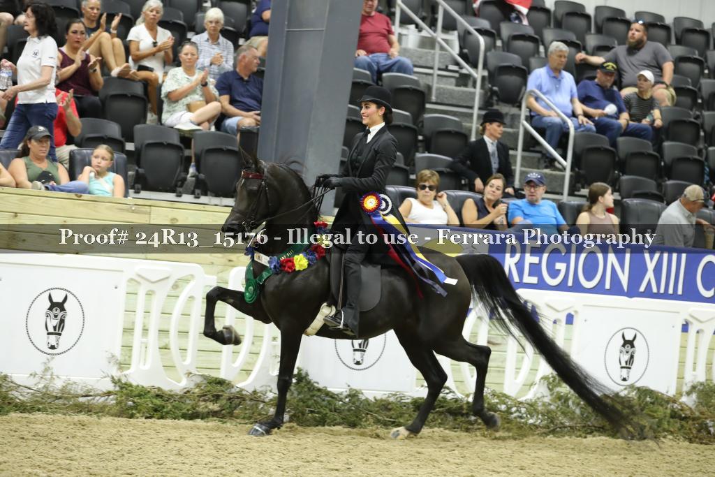 Proof 24R13_15176