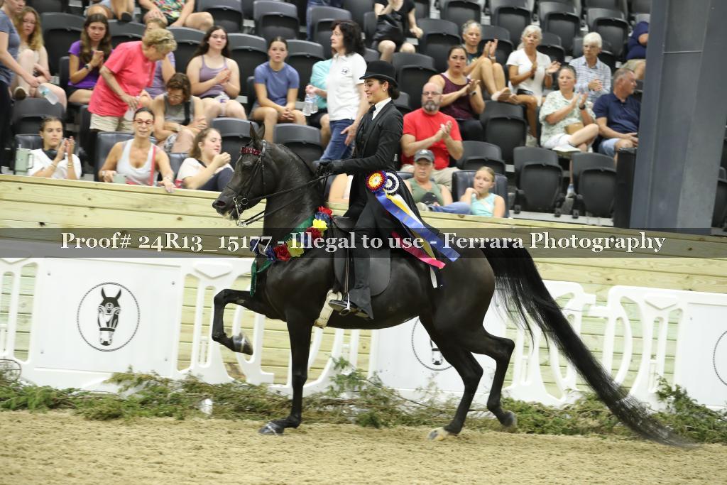 Proof 24R13_15177