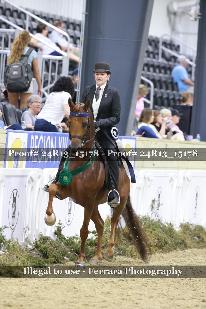 Proof 24R13_15178