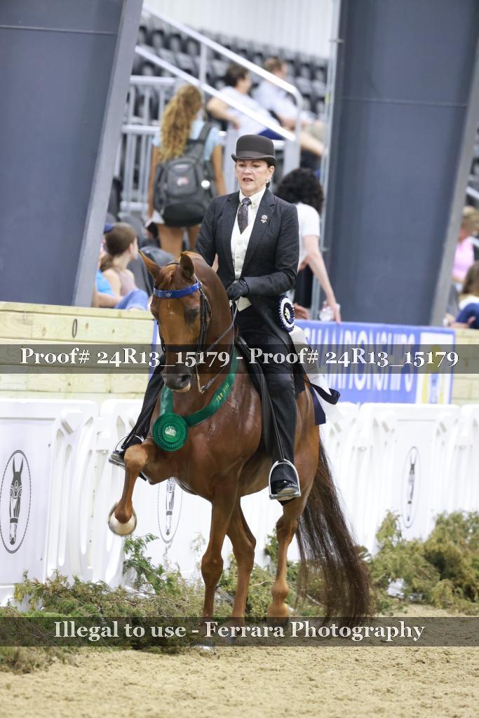 Proof 24R13_15179