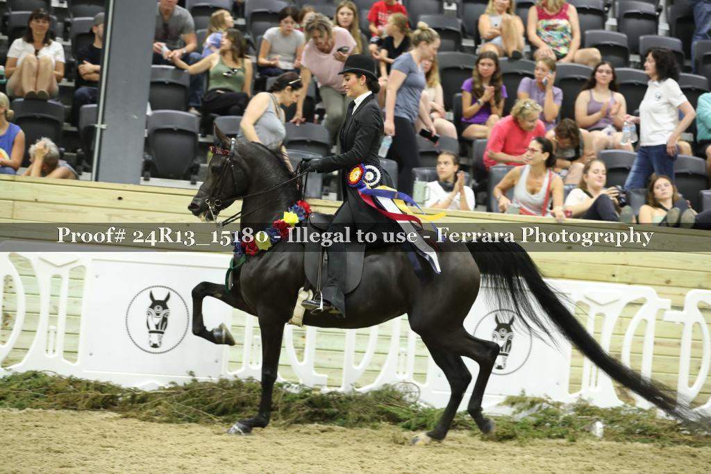 Proof 24R13_15180