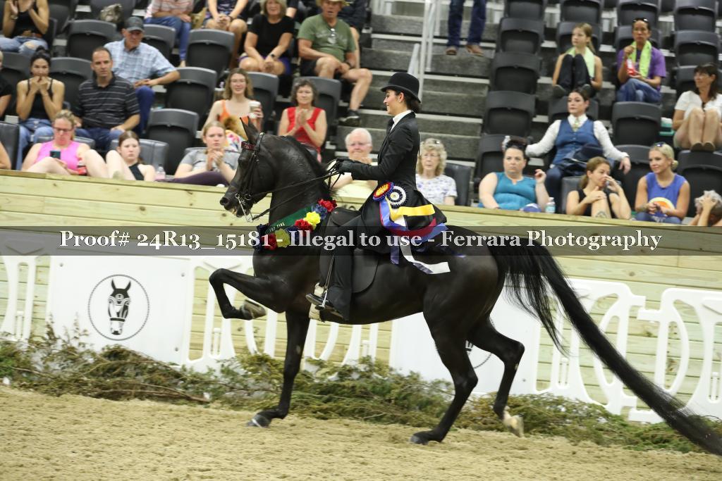 Proof 24R13_15181