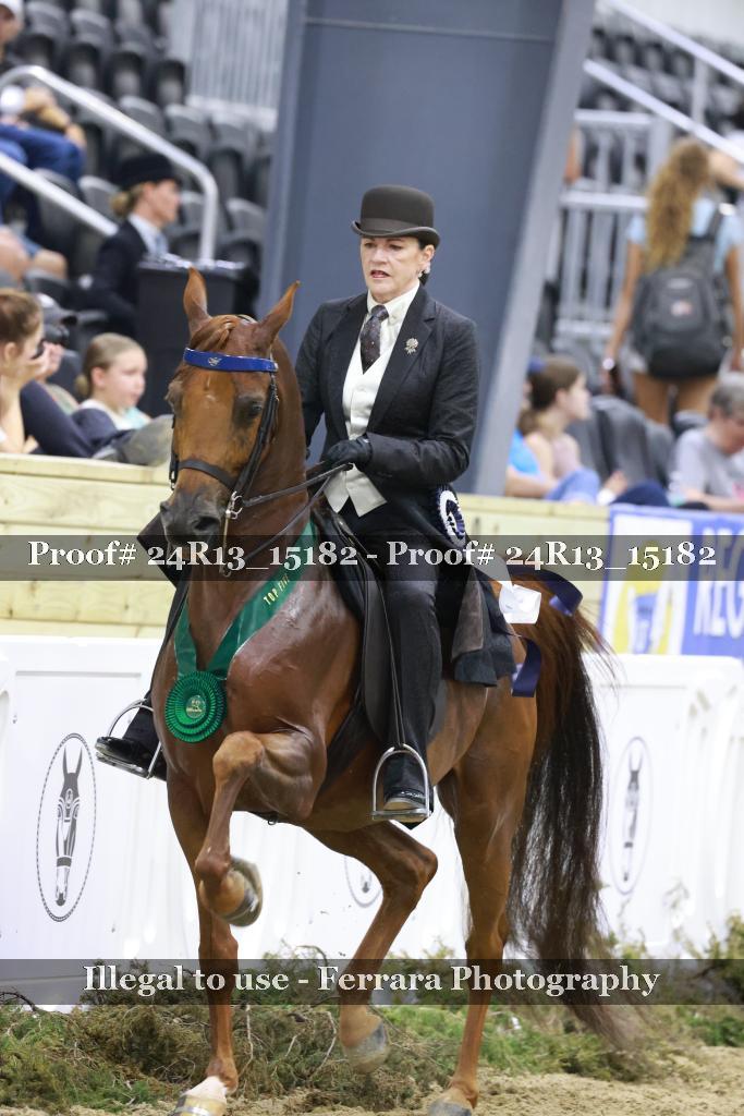 Proof 24R13_15182