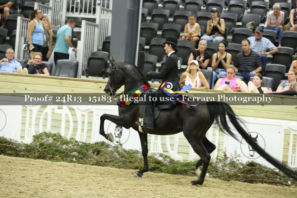 Proof 24R13_15183