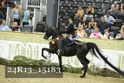 24R13_15183 proof