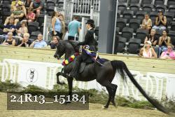 24R13_15184 proof