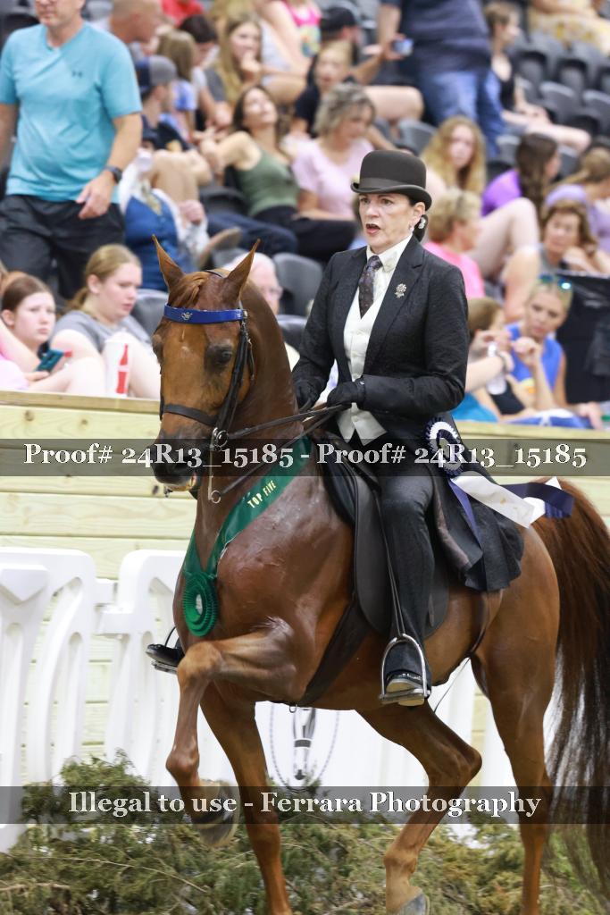 Proof 24R13_15185
