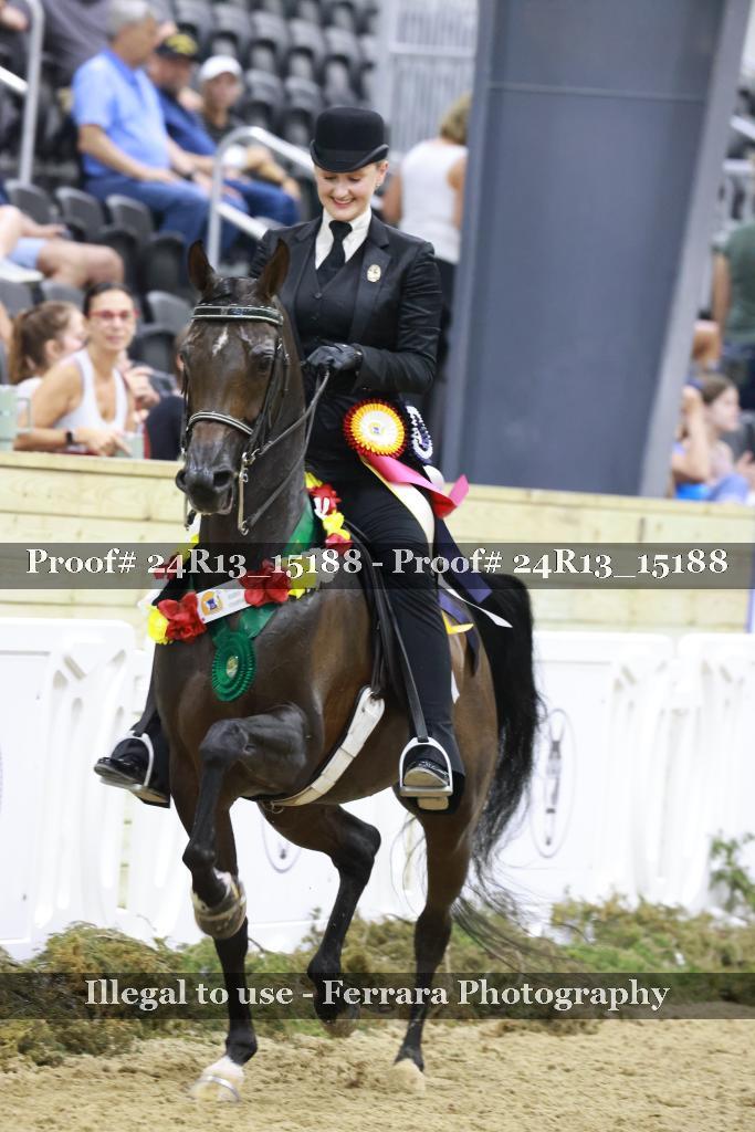 Proof 24R13_15188