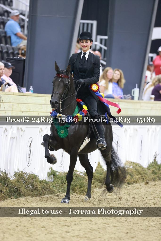 Proof 24R13_15189