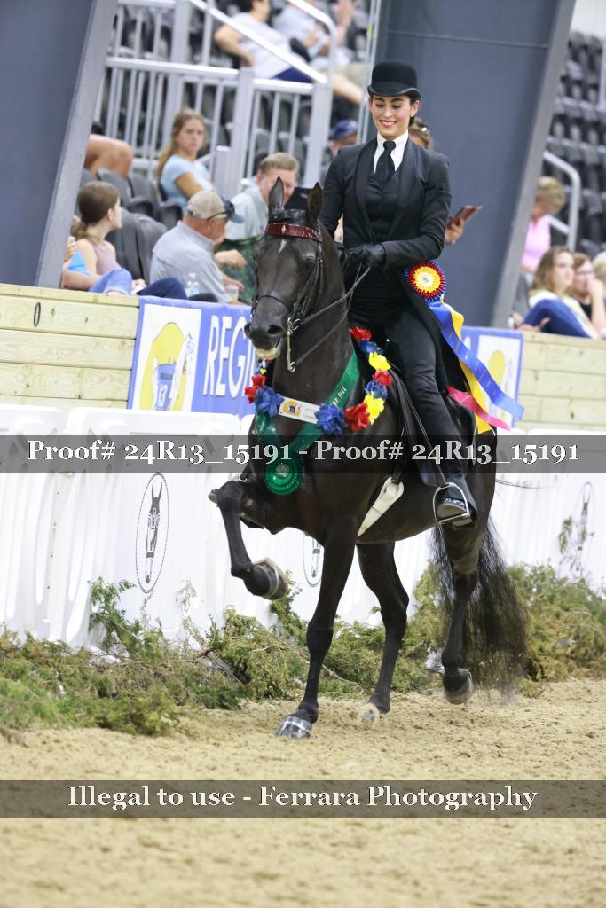 Proof 24R13_15191
