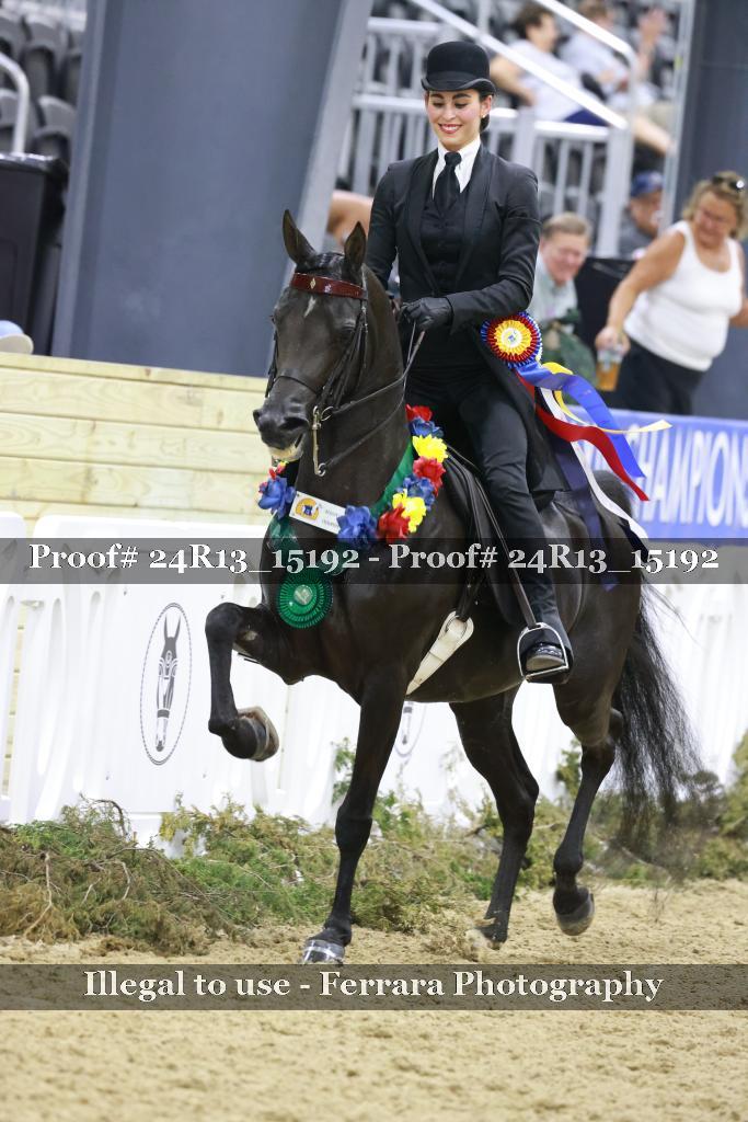 Proof 24R13_15192