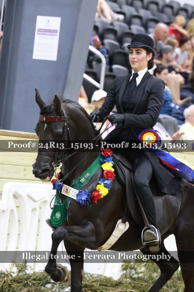 Proof 24R13_15193