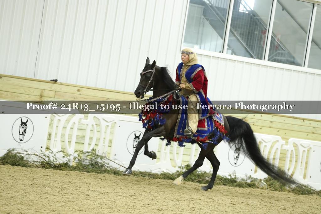 Proof 24R13_15195