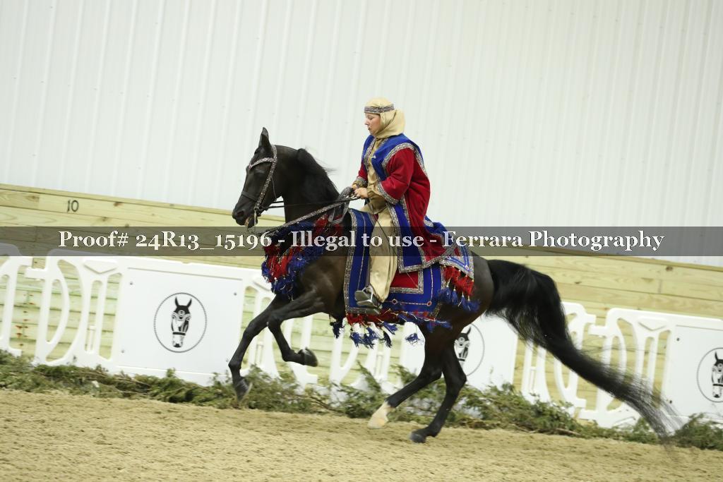Proof 24R13_15196