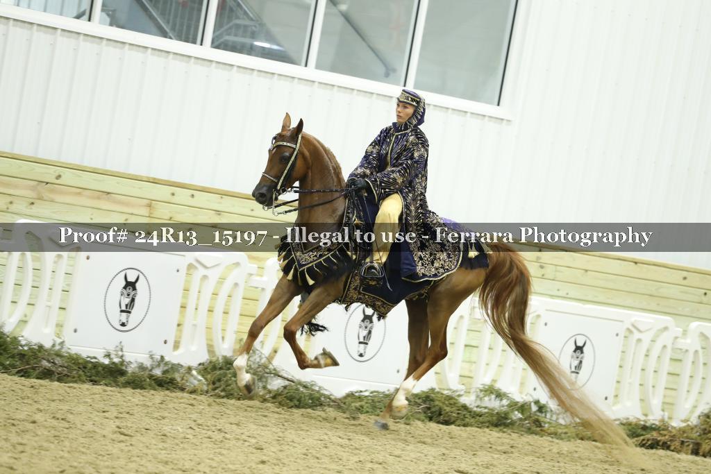 Proof 24R13_15197