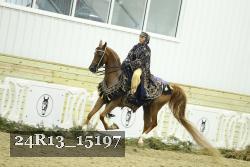 24R13_15197 proof