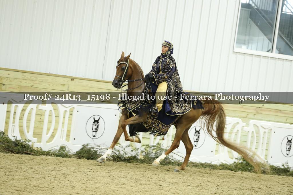 Proof 24R13_15198