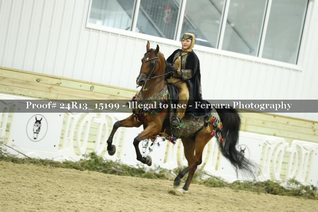 Proof 24R13_15199