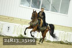 24R13_15199 proof