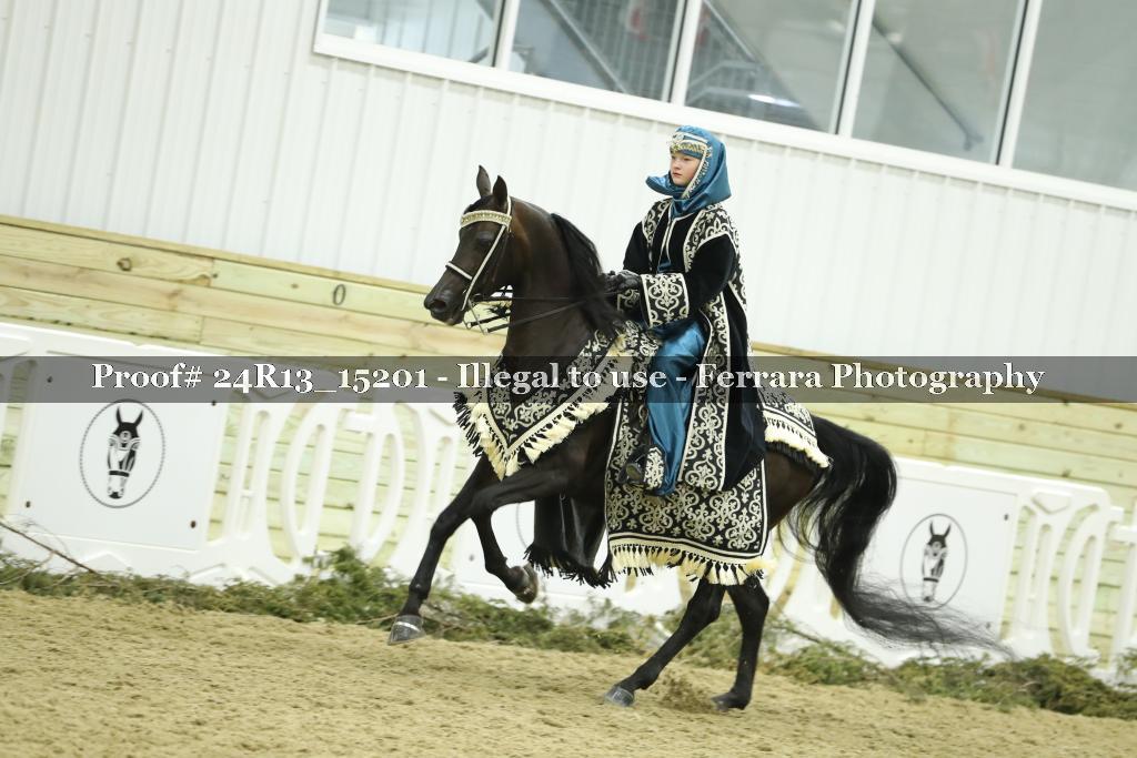 Proof 24R13_15201