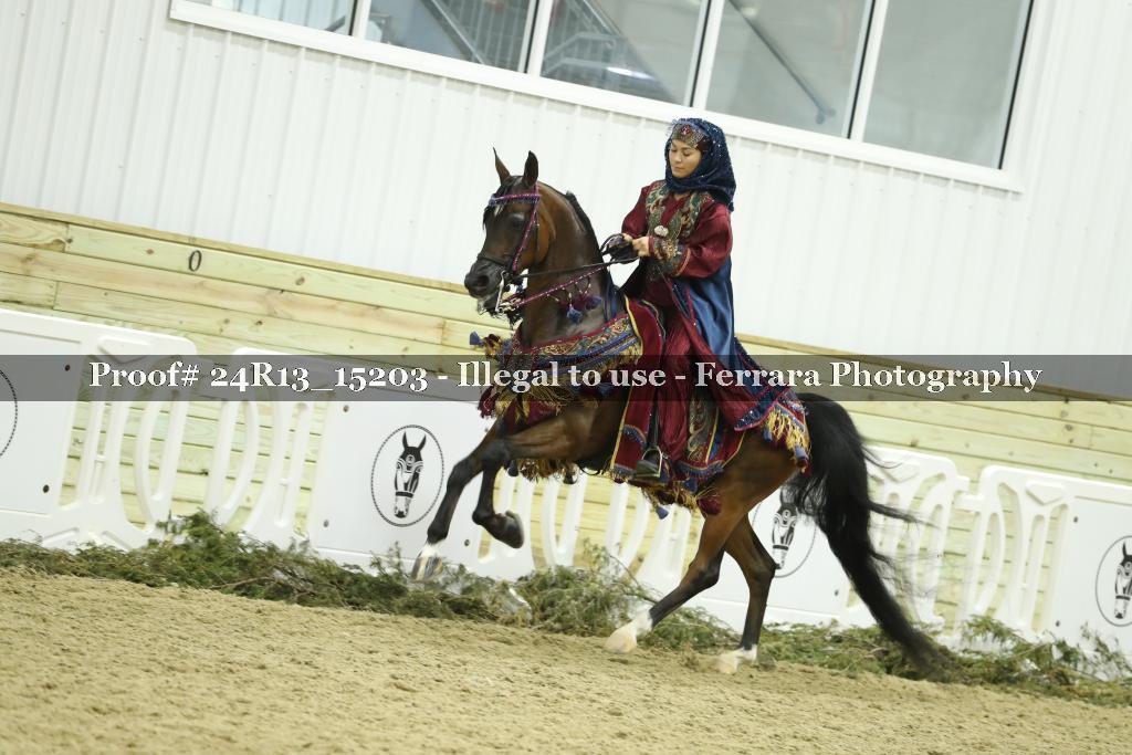 Proof 24R13_15203