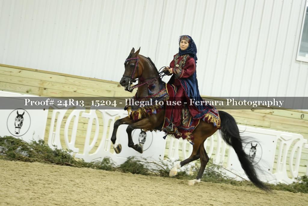 Proof 24R13_15204