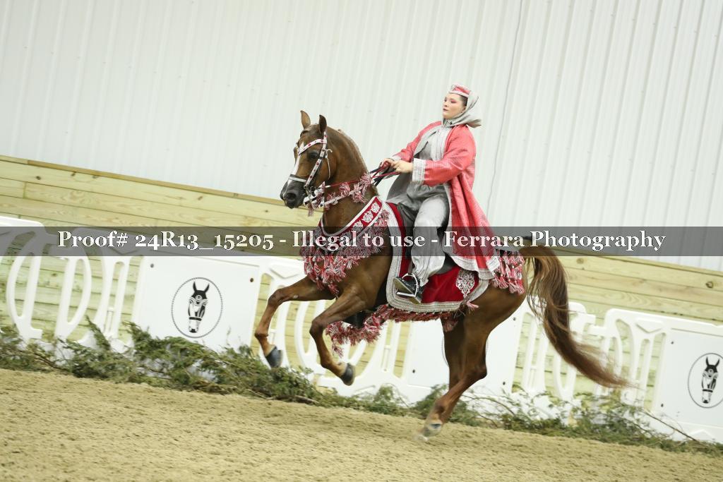 Proof 24R13_15205