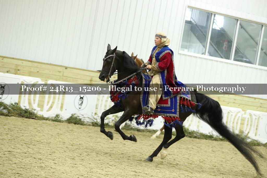 Proof 24R13_15206