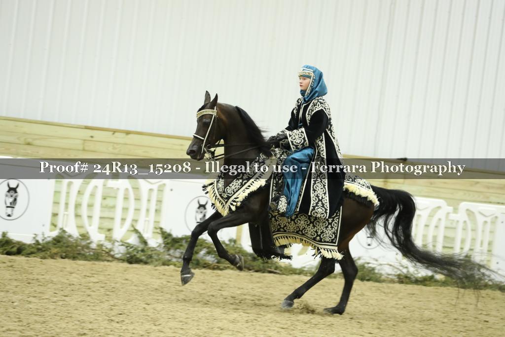 Proof 24R13_15208
