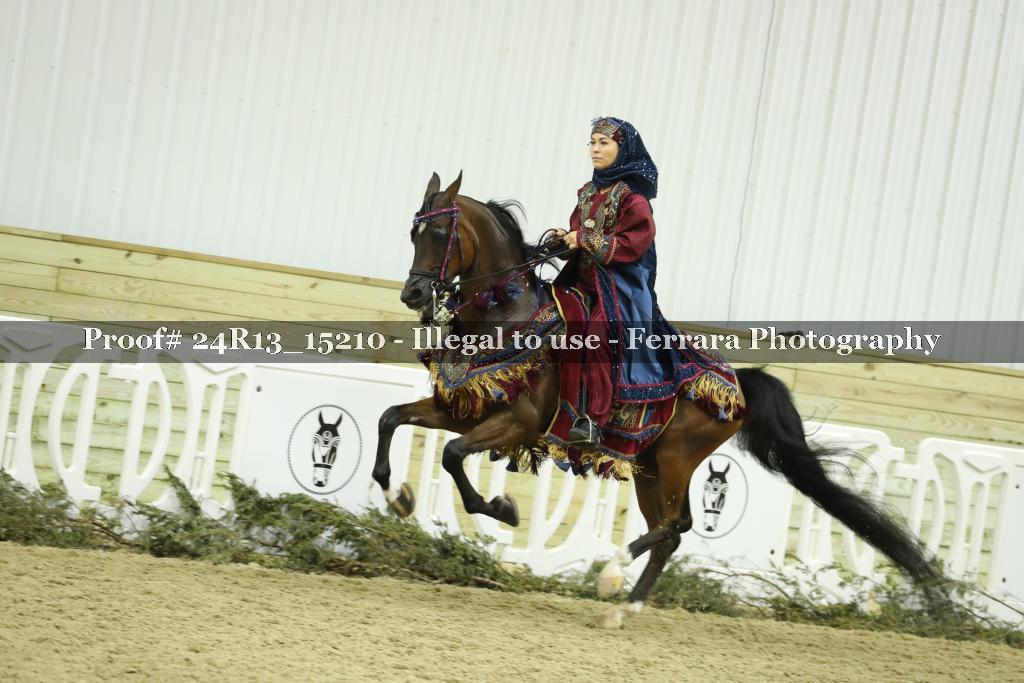 Proof 24R13_15210