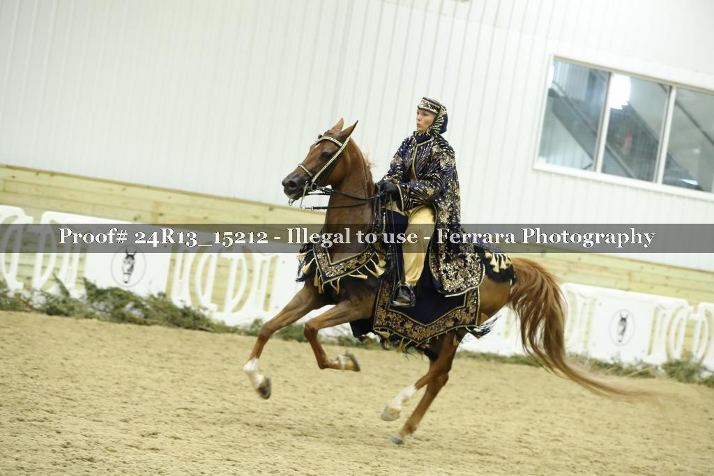 Proof 24R13_15212