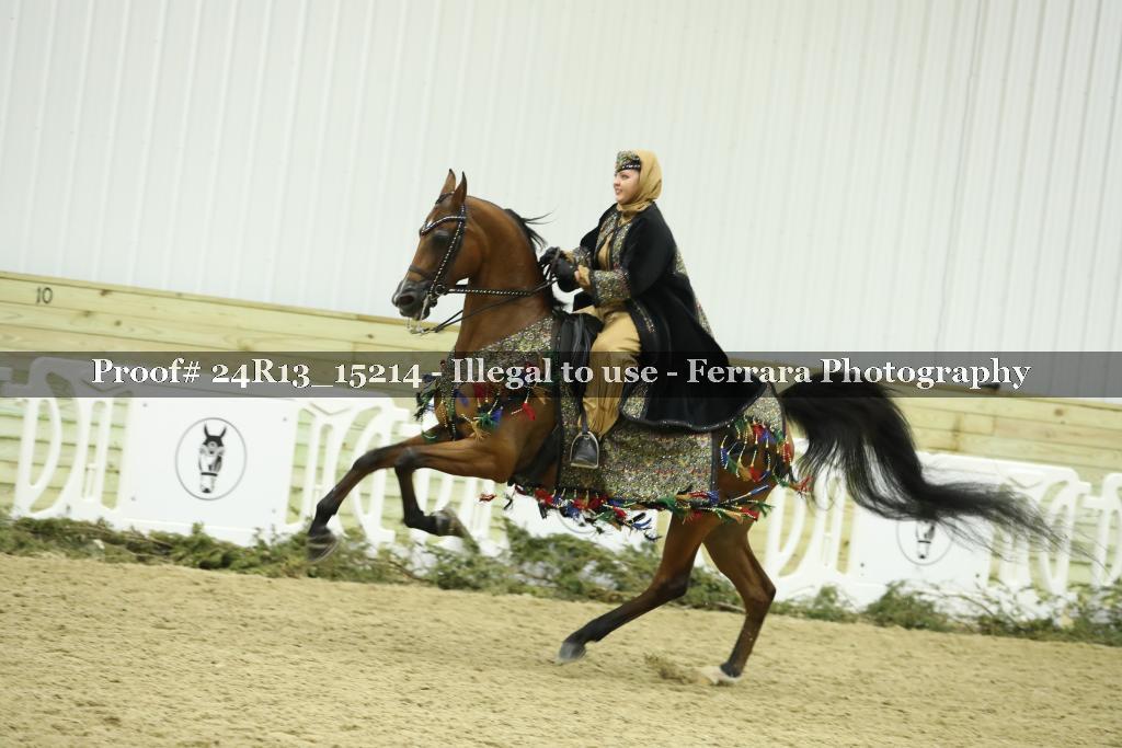 Proof 24R13_15214