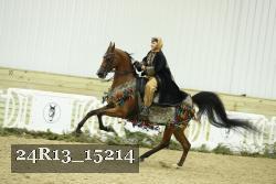 24R13_15214 proof