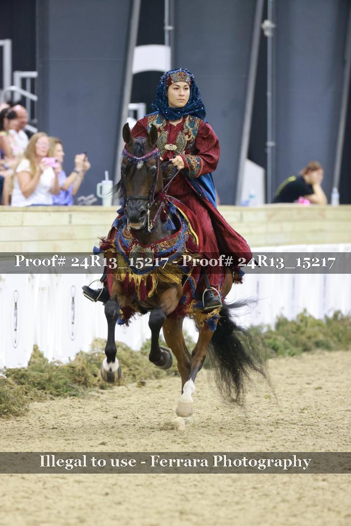 Proof 24R13_15217
