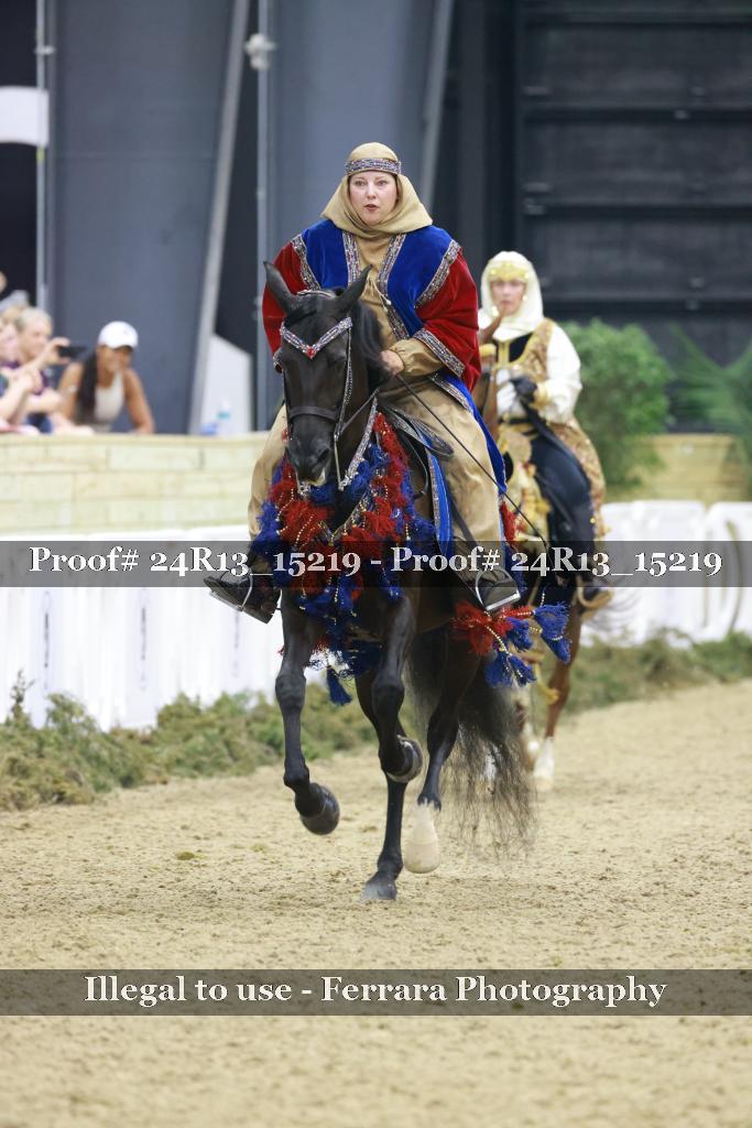 Proof 24R13_15219